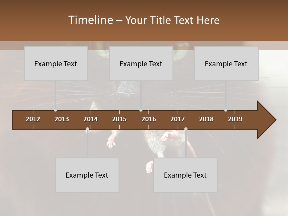 Panic Cat Isolated PowerPoint Template