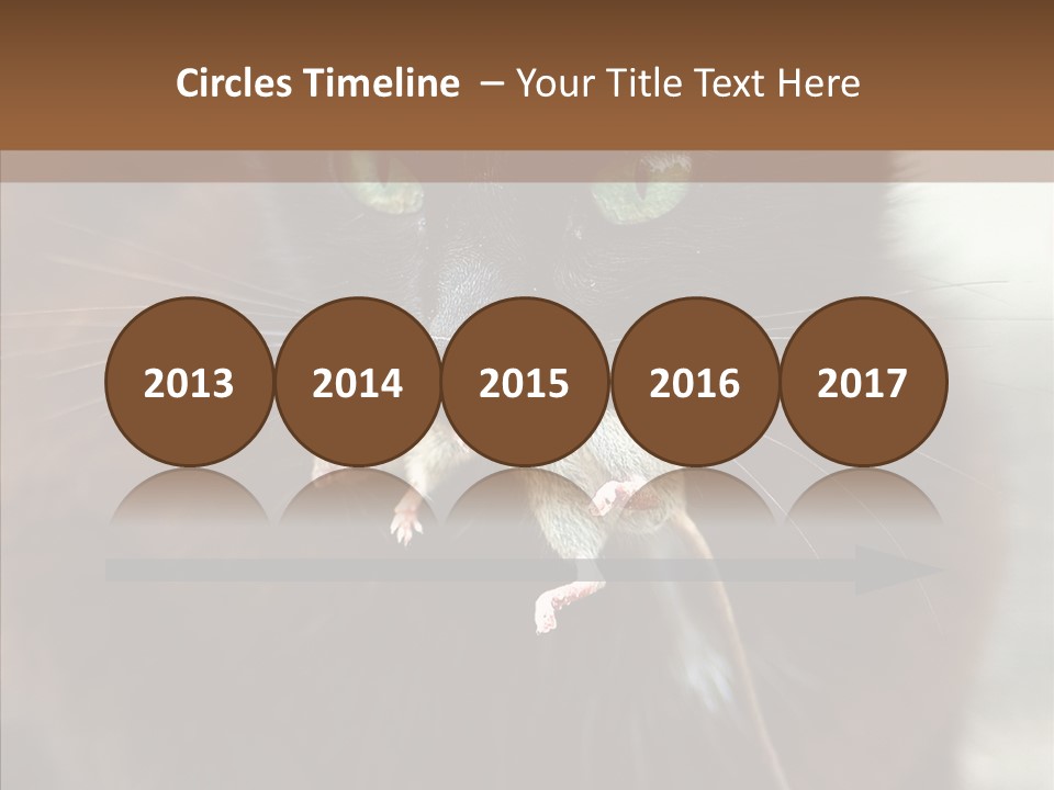 Panic Cat Isolated PowerPoint Template