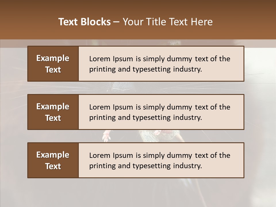 Panic Cat Isolated PowerPoint Template