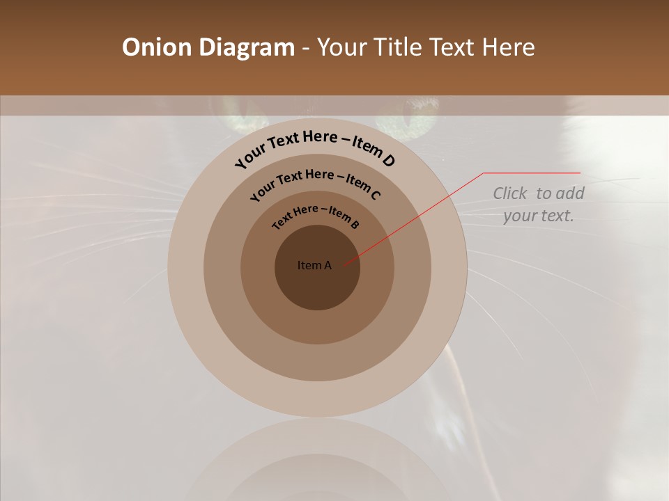 Panic Cat Isolated PowerPoint Template