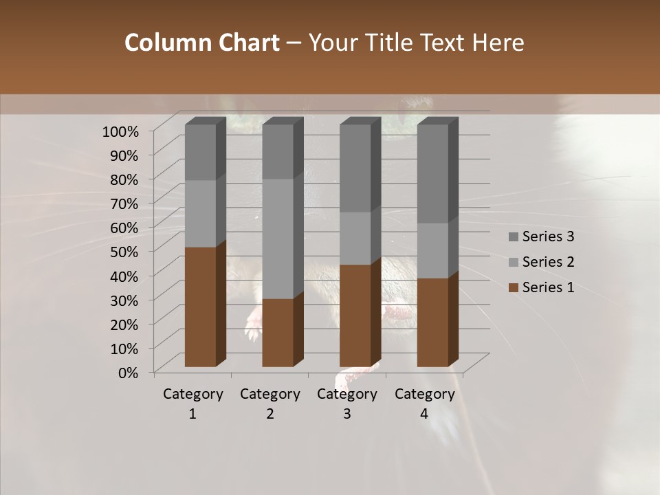 Panic Cat Isolated PowerPoint Template