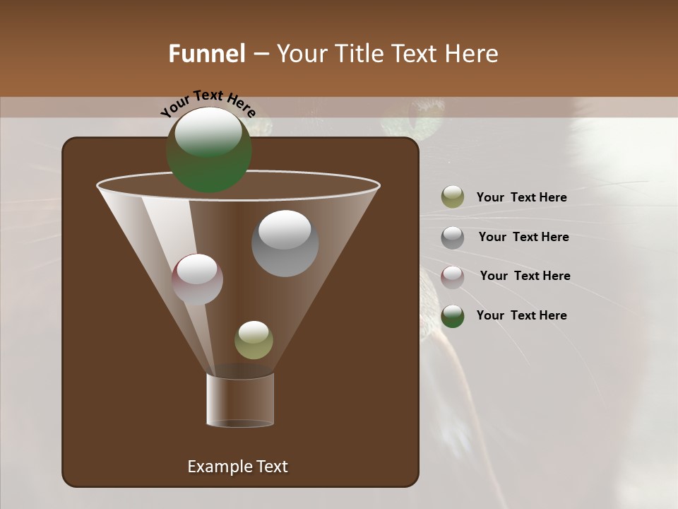 Panic Cat Isolated PowerPoint Template