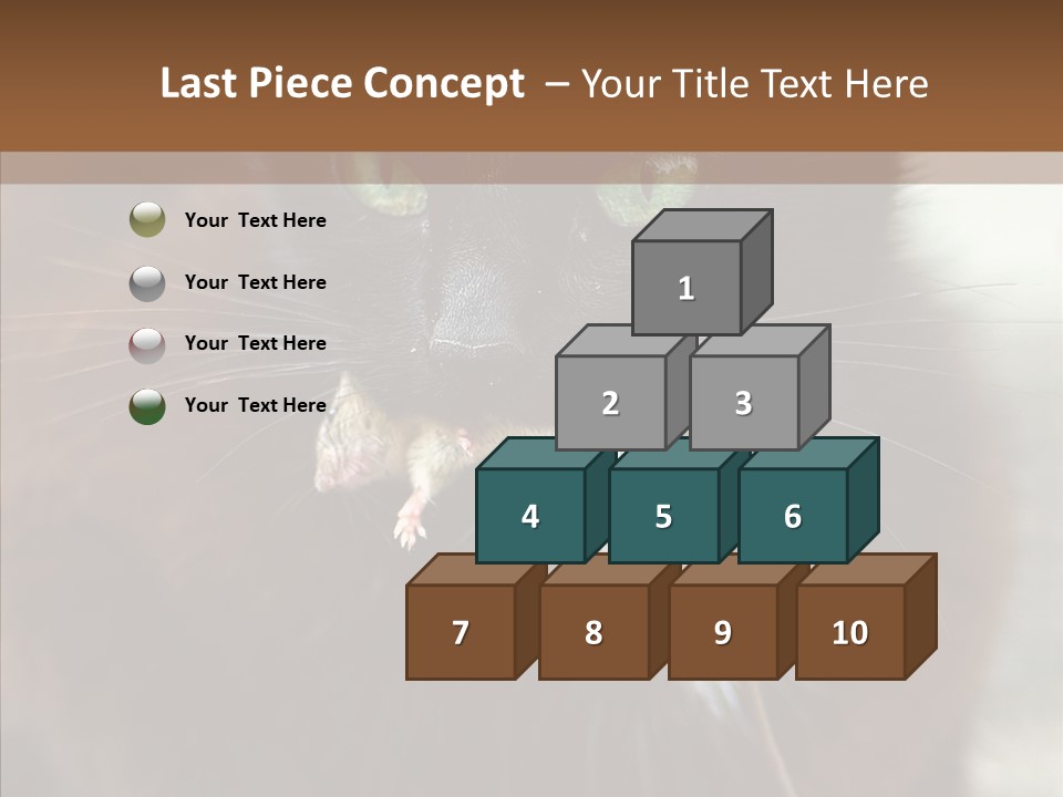 Panic Cat Isolated PowerPoint Template