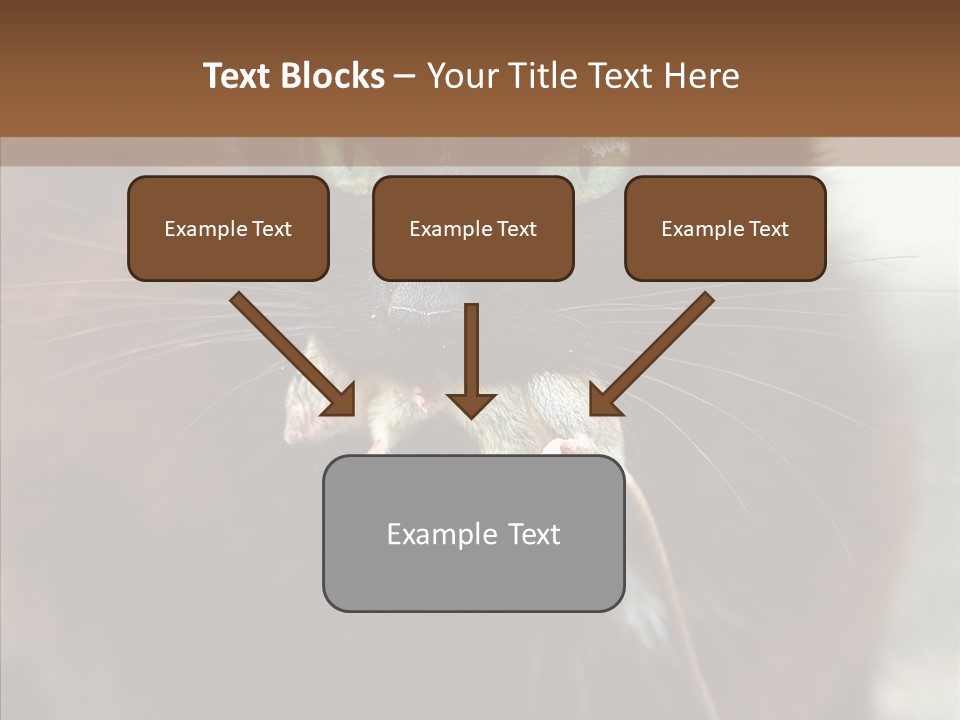 Panic Cat Isolated PowerPoint Template
