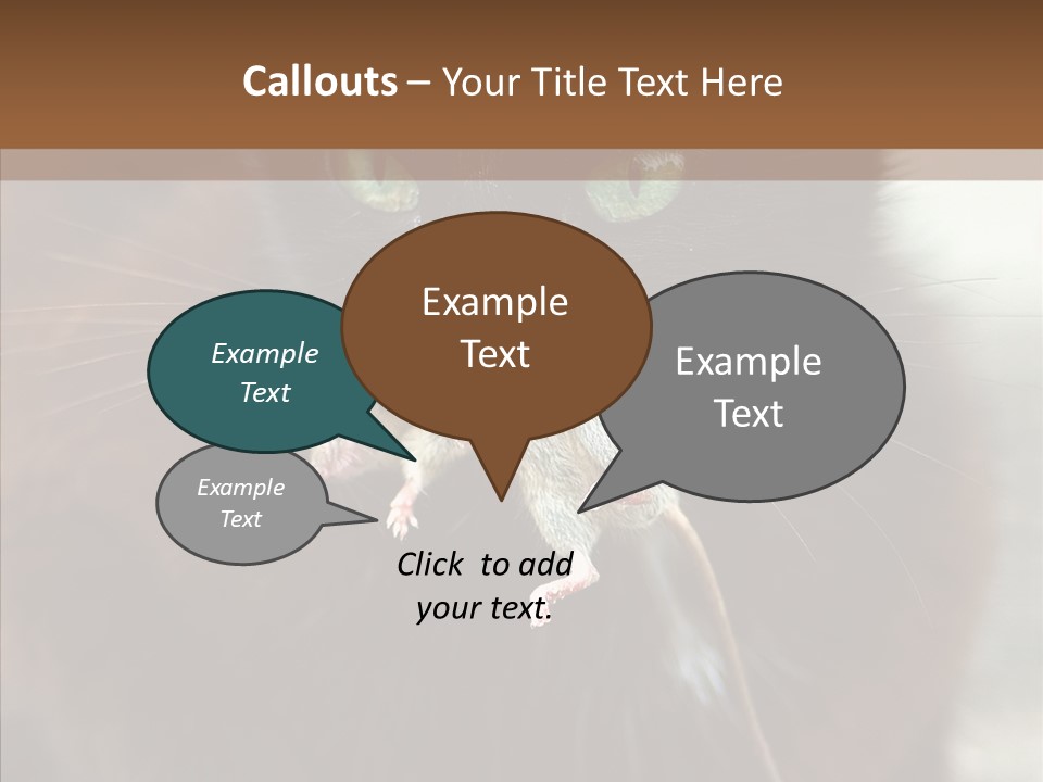 Panic Cat Isolated PowerPoint Template