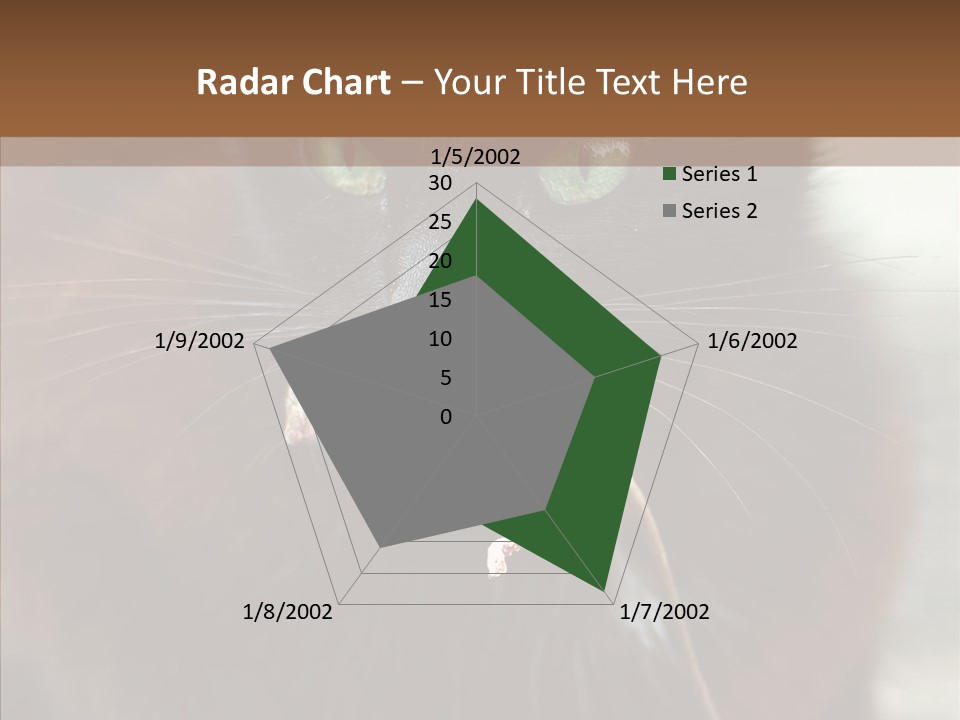 Panic Cat Isolated PowerPoint Template