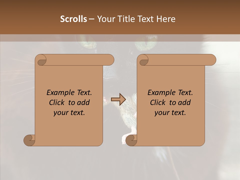 Panic Cat Isolated PowerPoint Template