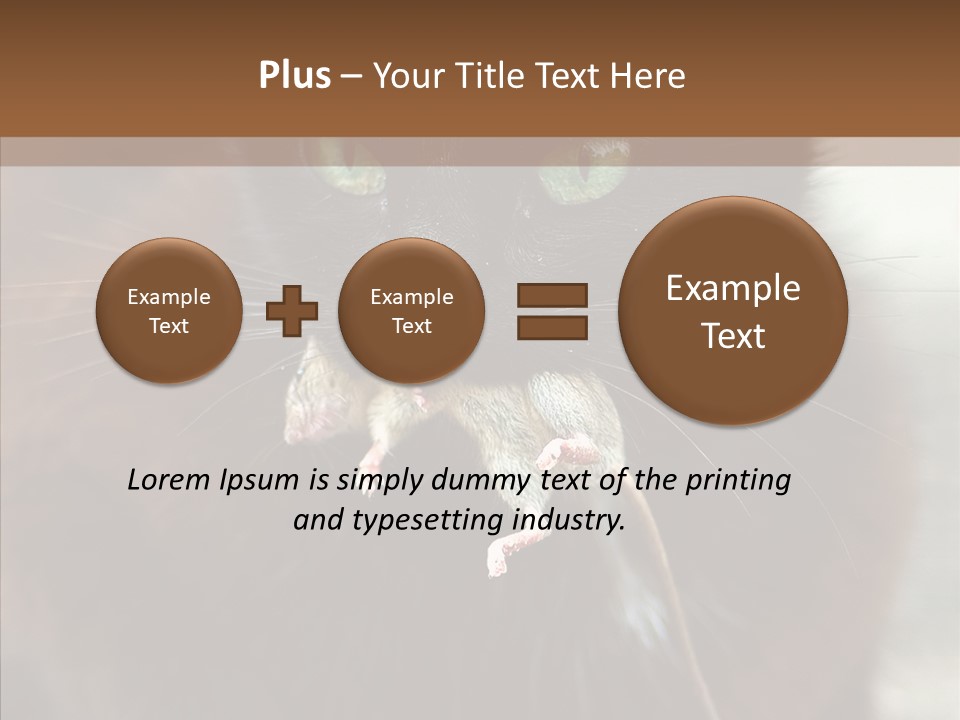 Panic Cat Isolated PowerPoint Template
