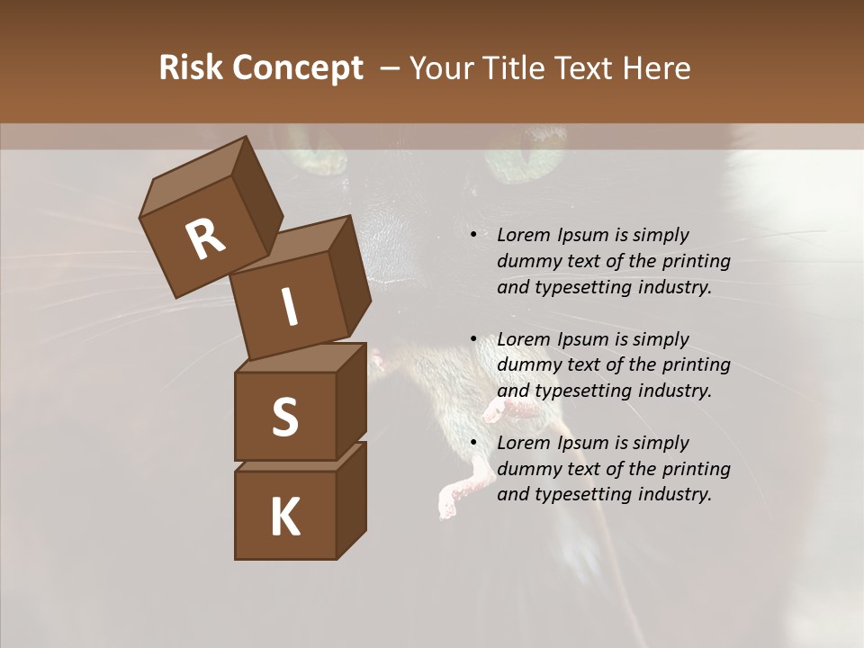 Panic Cat Isolated PowerPoint Template