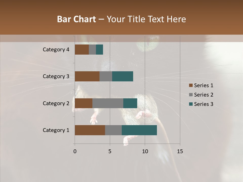 Panic Cat Isolated PowerPoint Template