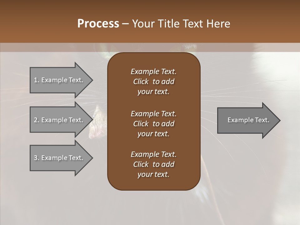 Panic Cat Isolated PowerPoint Template