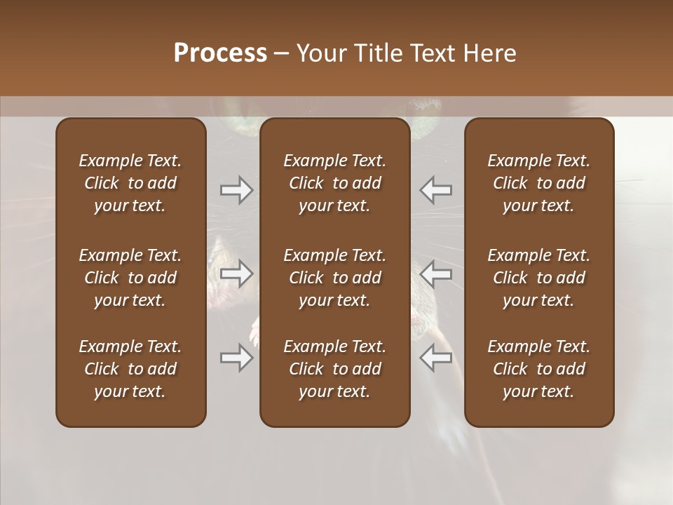 Panic Cat Isolated PowerPoint Template