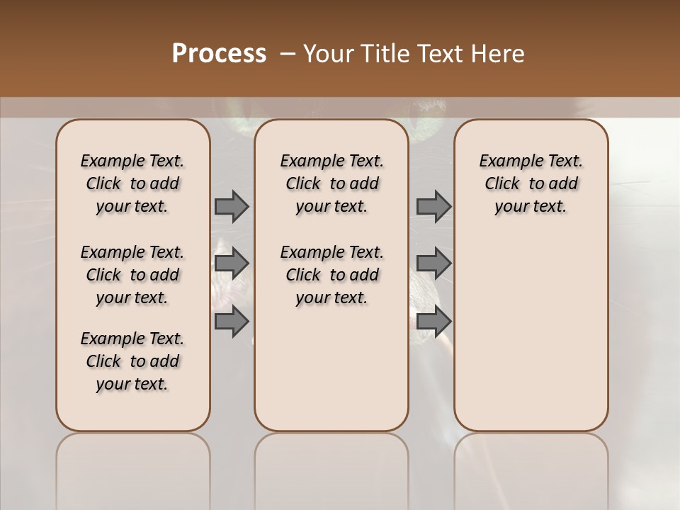 Panic Cat Isolated PowerPoint Template