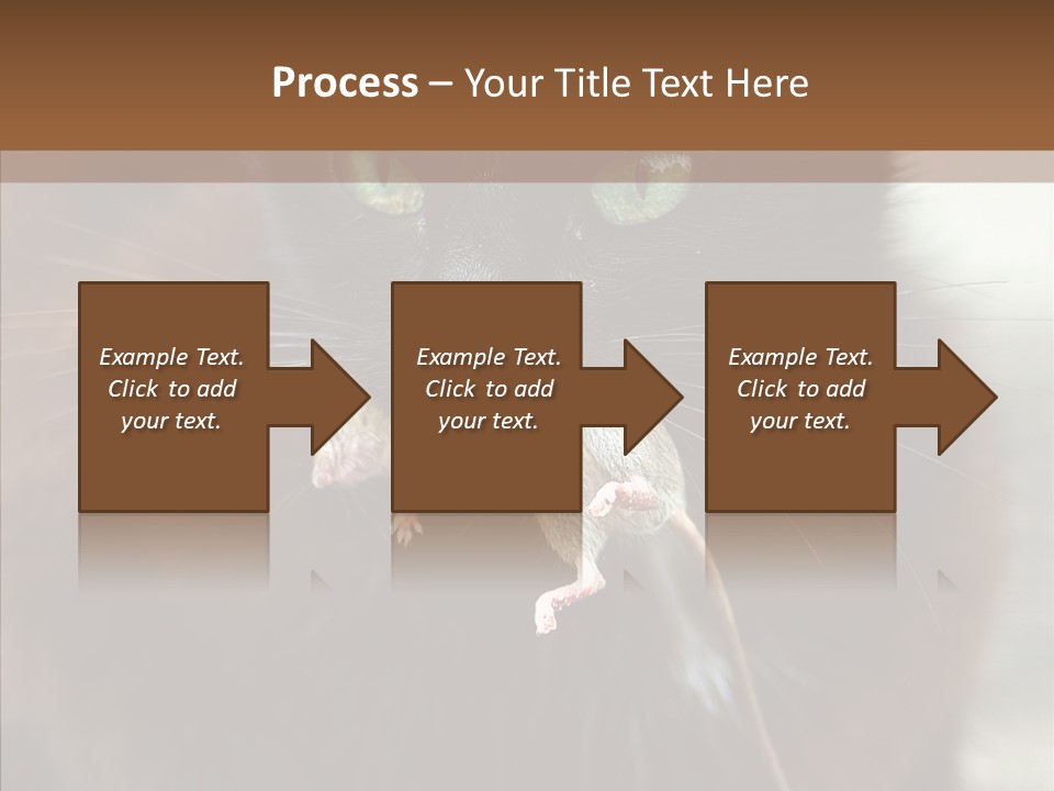 Panic Cat Isolated PowerPoint Template