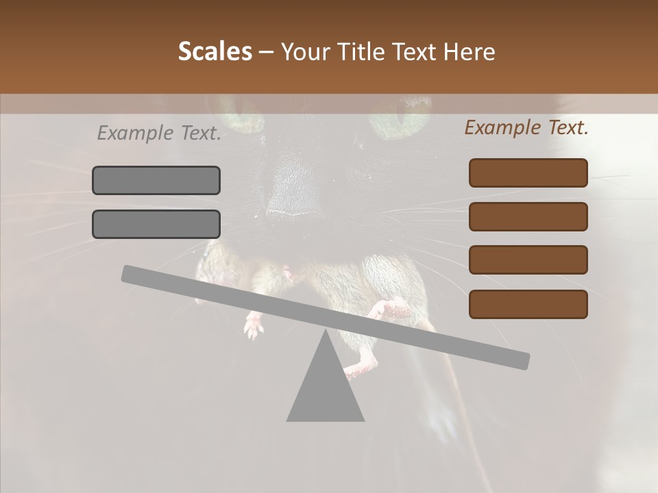 Panic Cat Isolated PowerPoint Template