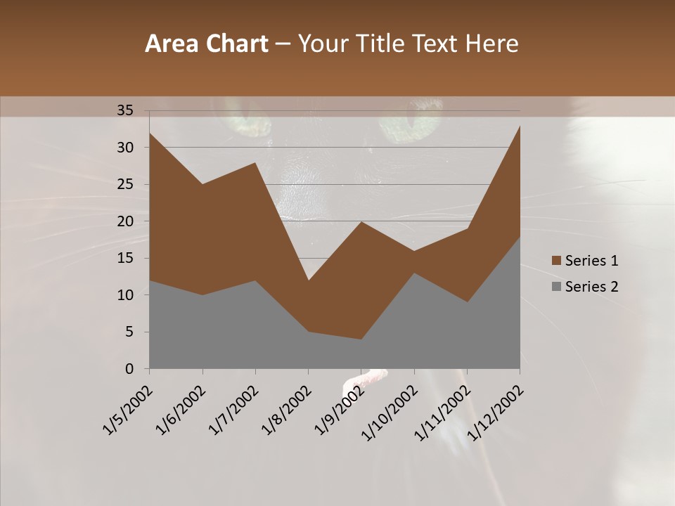 Panic Cat Isolated PowerPoint Template