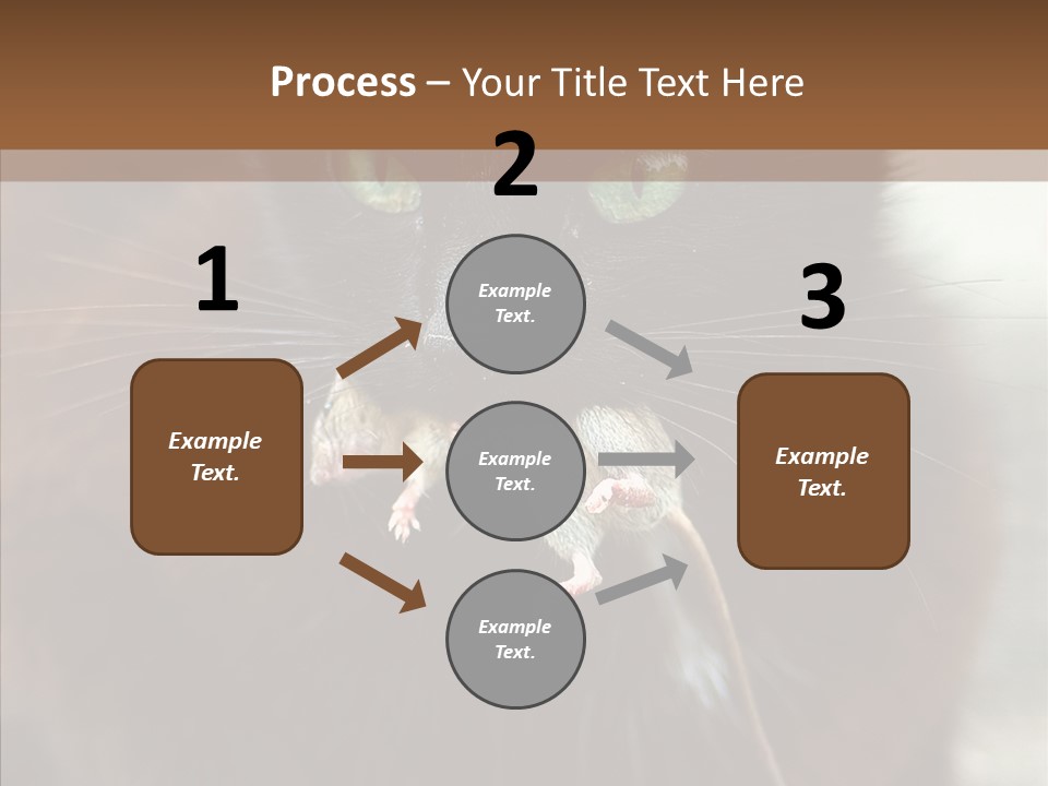 Panic Cat Isolated PowerPoint Template