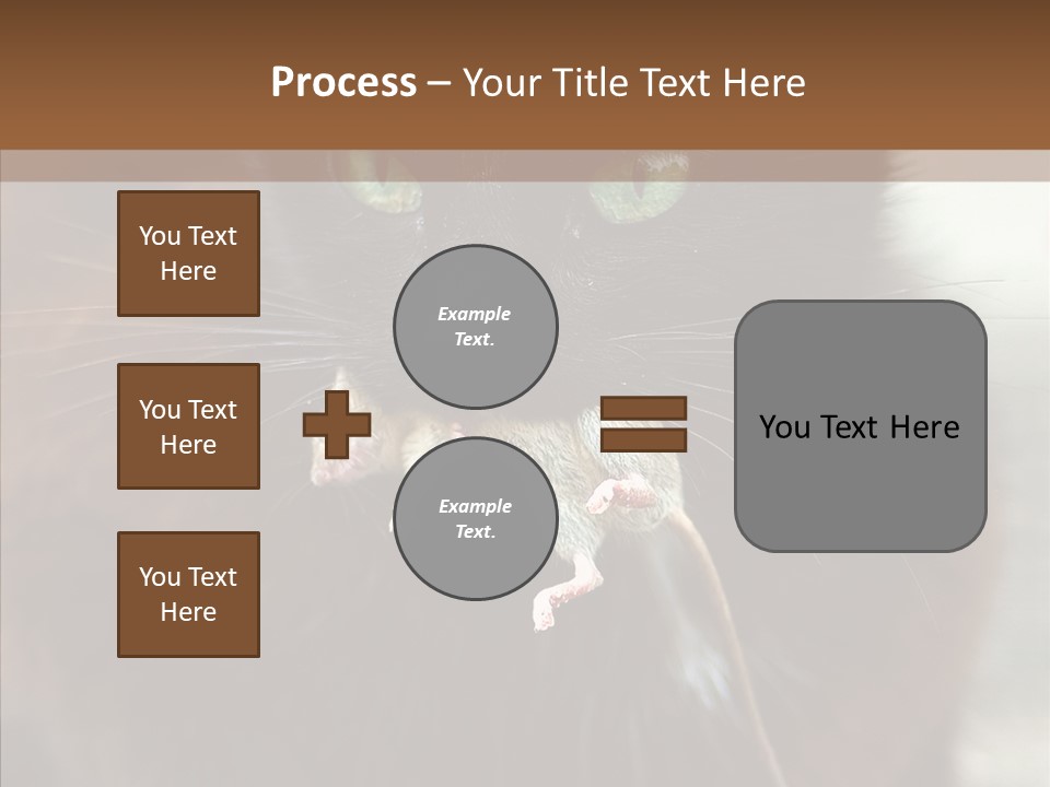Panic Cat Isolated PowerPoint Template