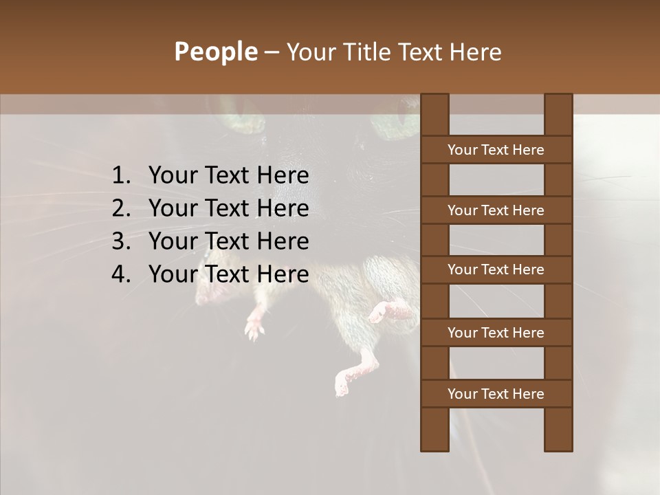 Panic Cat Isolated PowerPoint Template