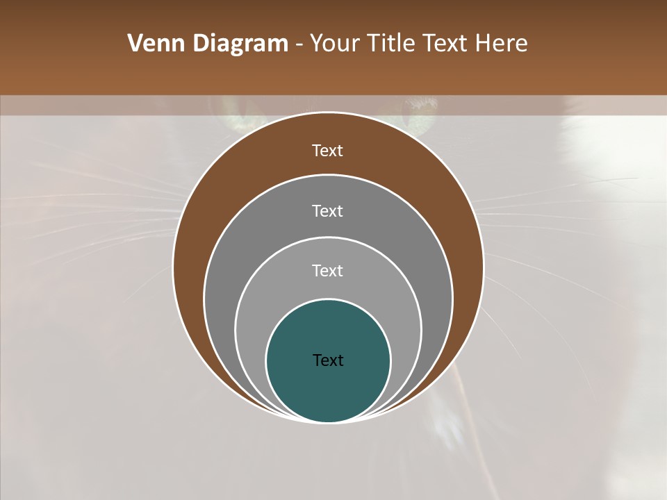 Panic Cat Isolated PowerPoint Template