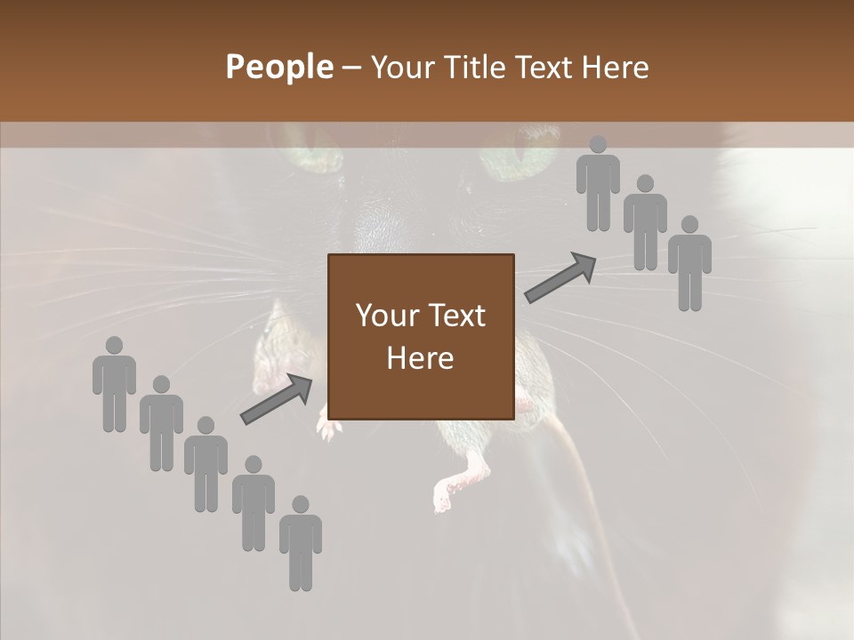 Panic Cat Isolated PowerPoint Template