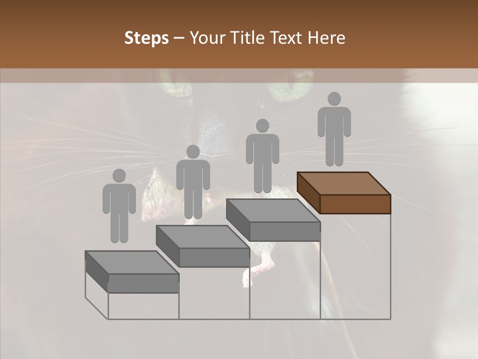 Panic Cat Isolated PowerPoint Template