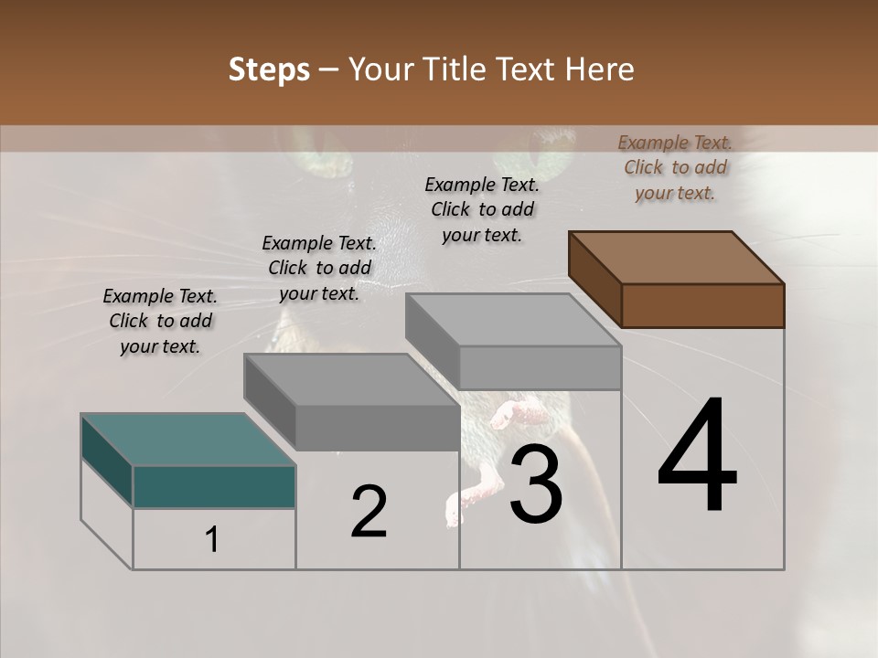 Panic Cat Isolated PowerPoint Template