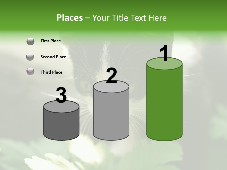 Humorou Li Ten Human PowerPoint Template