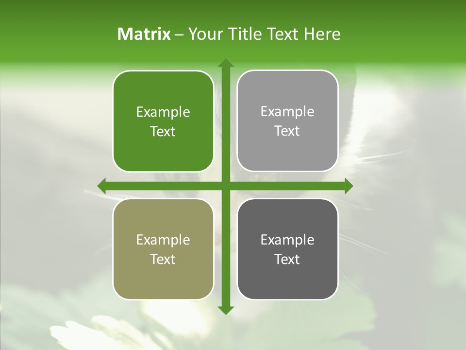 Humorou Li Ten Human PowerPoint Template