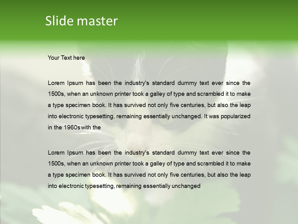 Humorou Li Ten Human PowerPoint Template