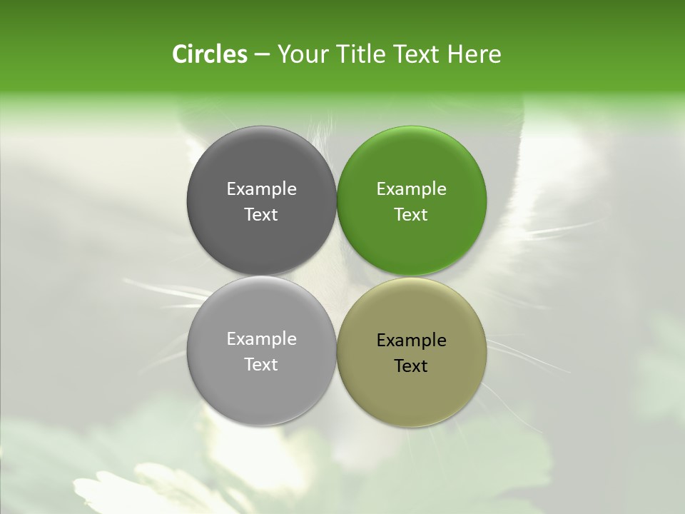 Humorou Li Ten Human PowerPoint Template