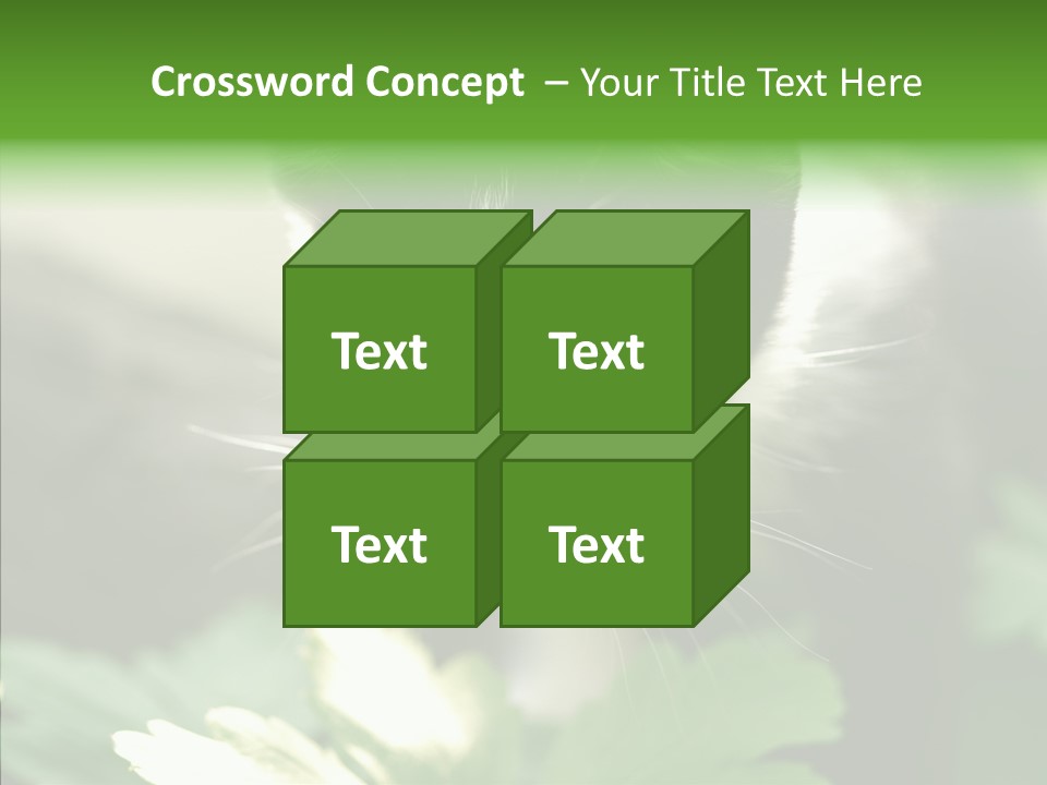 Humorou Li Ten Human PowerPoint Template