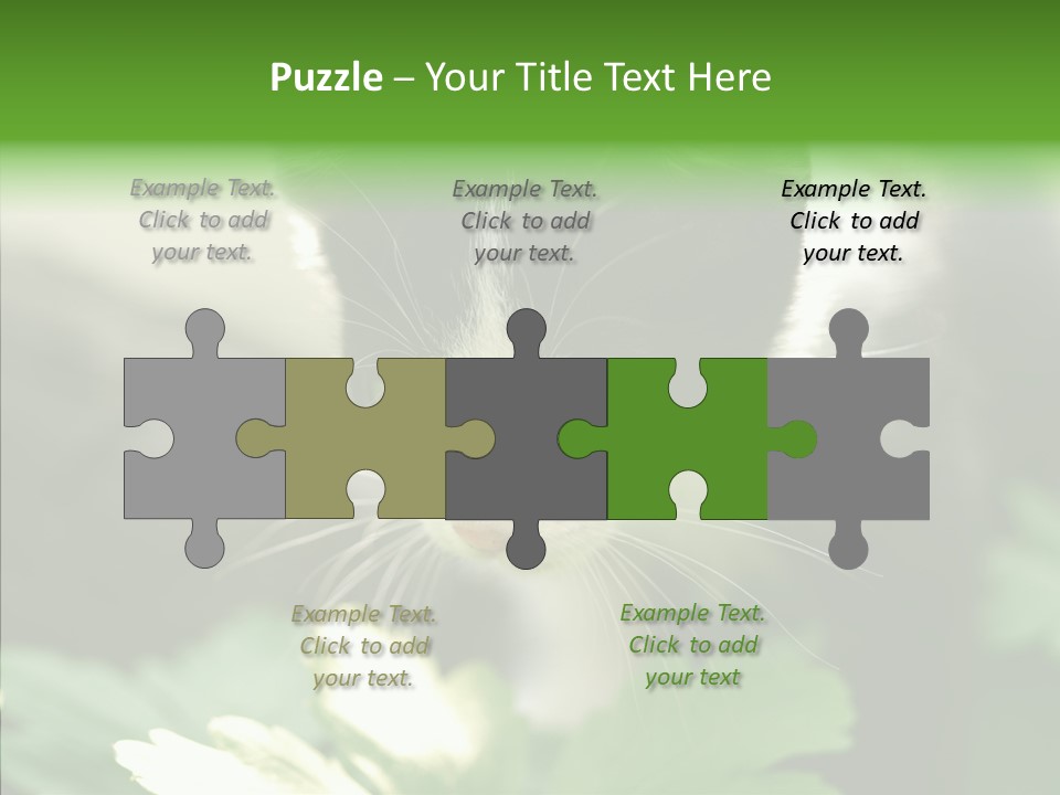 Humorou Li Ten Human PowerPoint Template