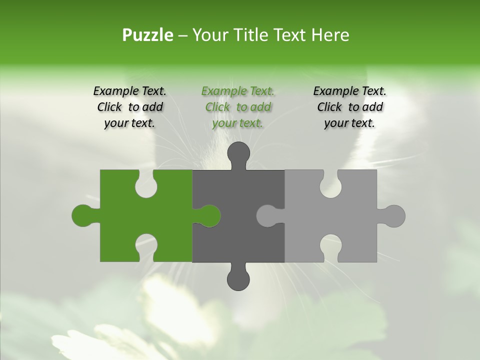 Humorou Li Ten Human PowerPoint Template