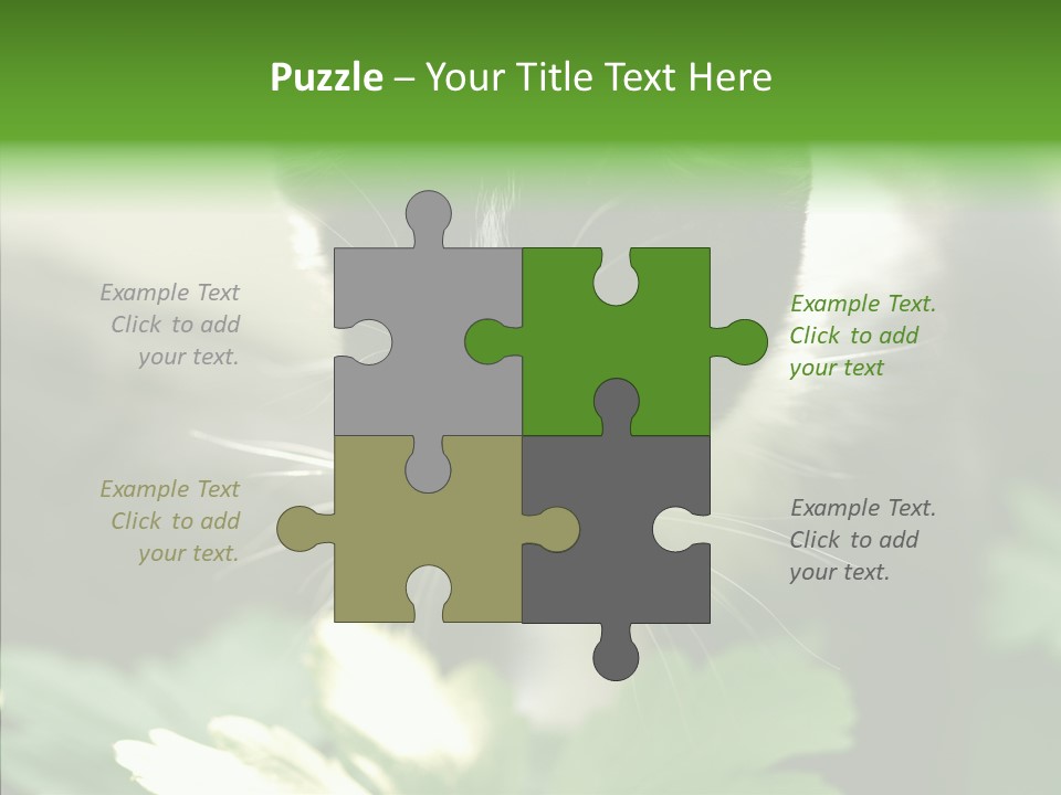 Humorou Li Ten Human PowerPoint Template