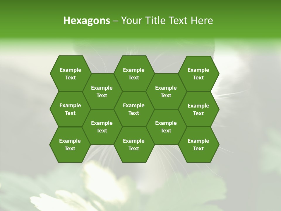 Humorou Li Ten Human PowerPoint Template