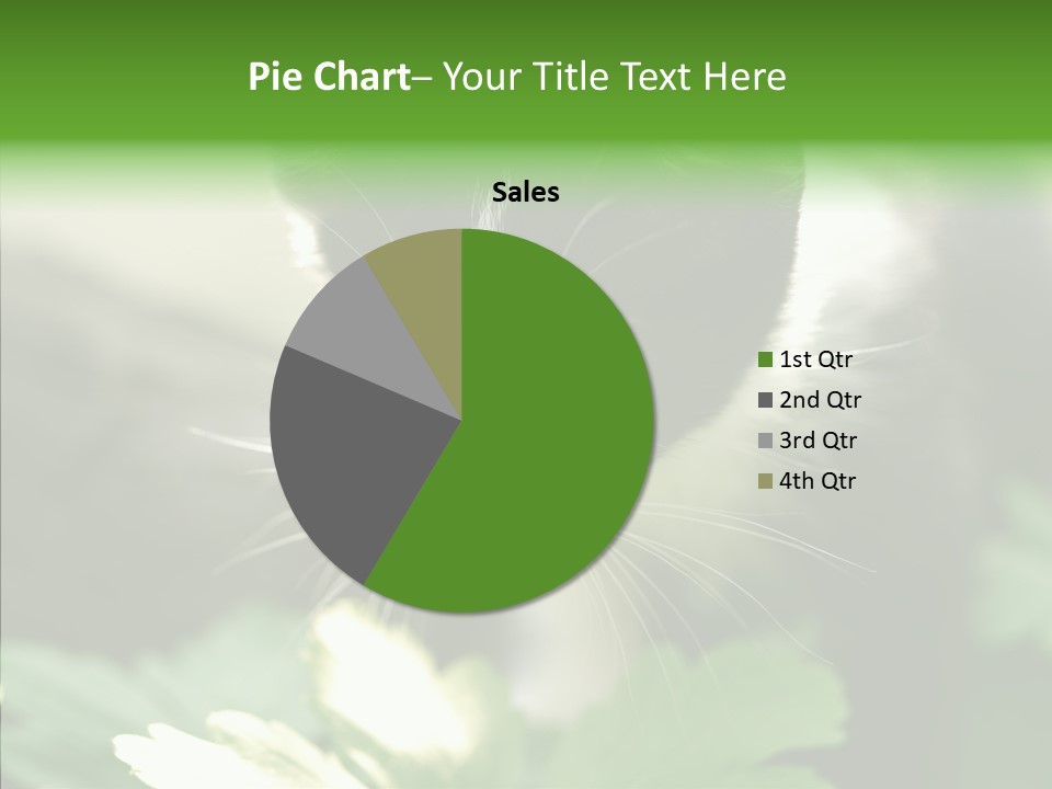 Humorou Li Ten Human PowerPoint Template