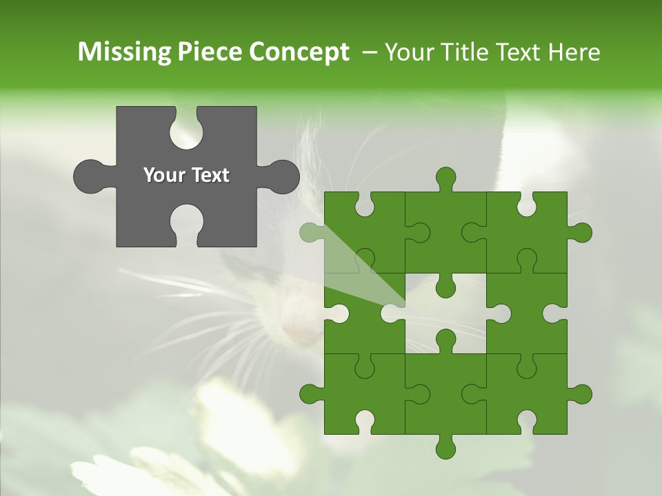 Humorou Li Ten Human PowerPoint Template