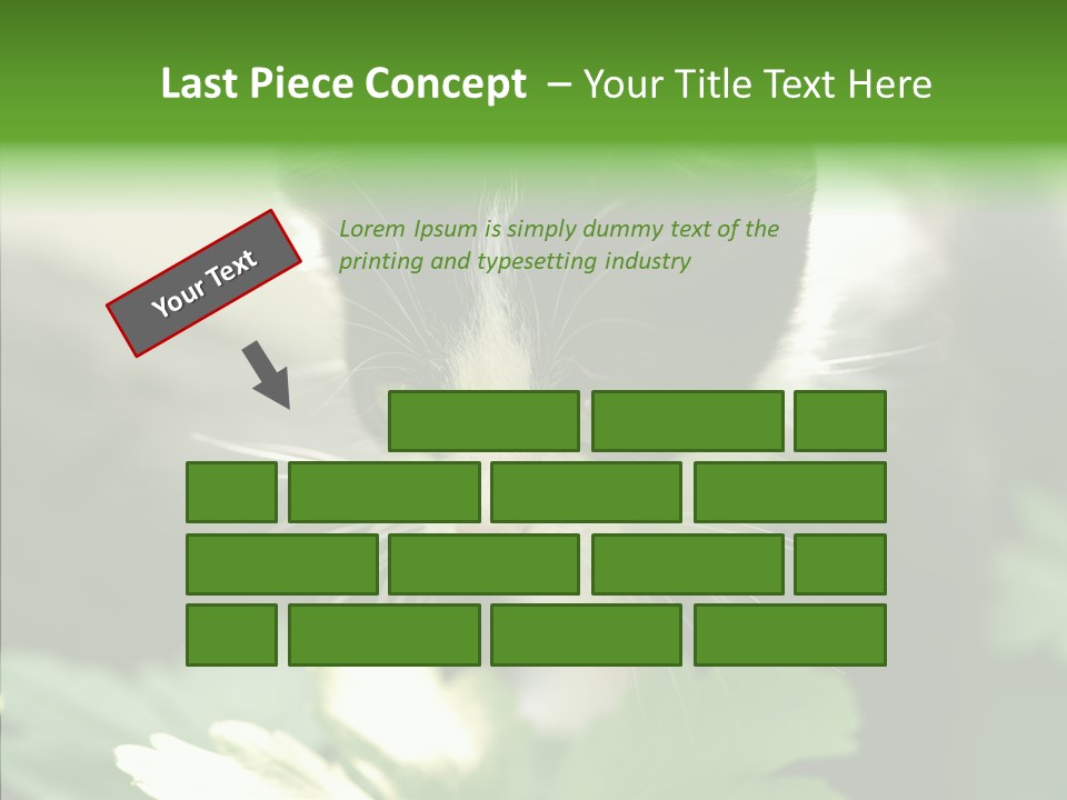 Humorou Li Ten Human PowerPoint Template