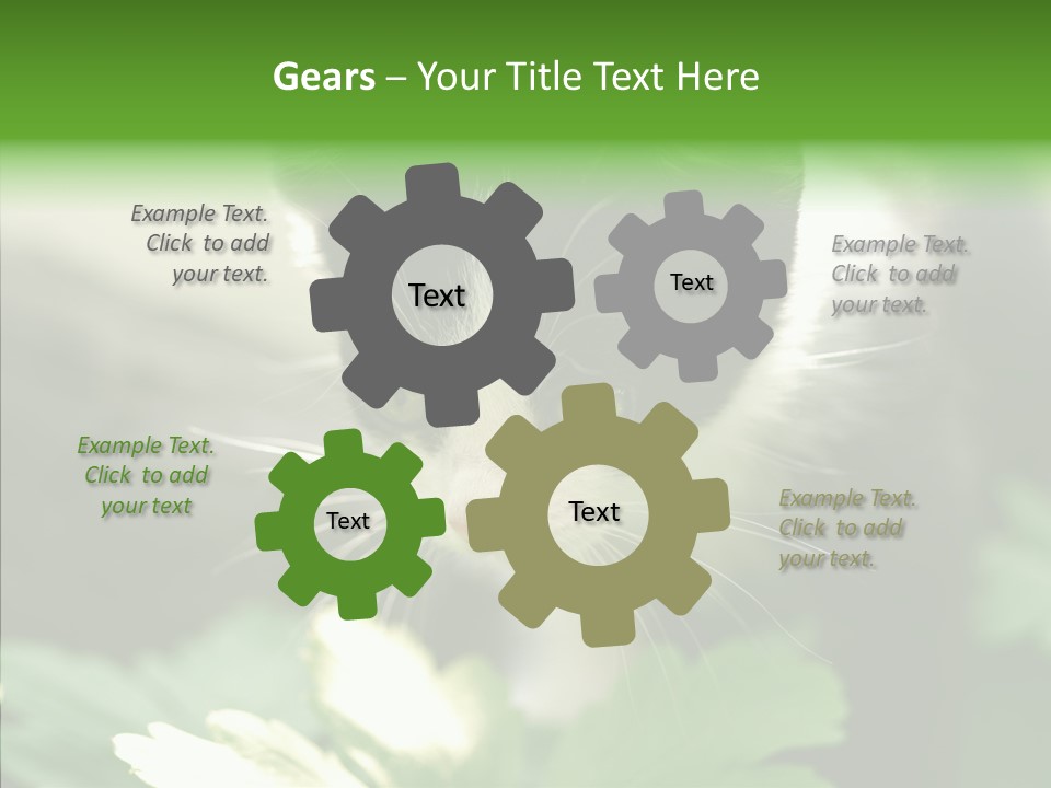 Humorou Li Ten Human PowerPoint Template