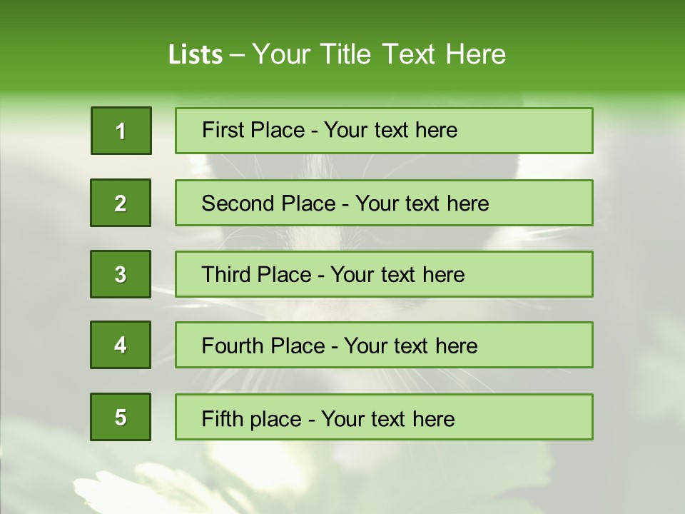 Humorou Li Ten Human PowerPoint Template