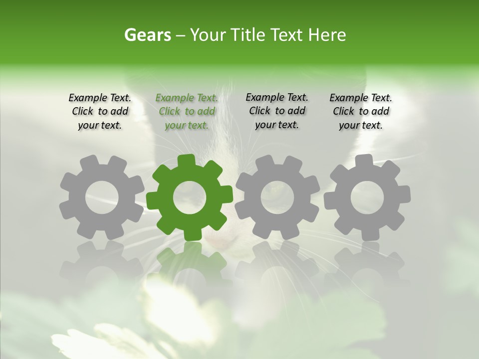 Humorou Li Ten Human PowerPoint Template