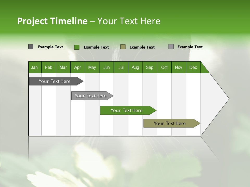 Humorou Li Ten Human PowerPoint Template