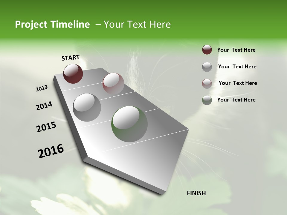 Humorou Li Ten Human PowerPoint Template