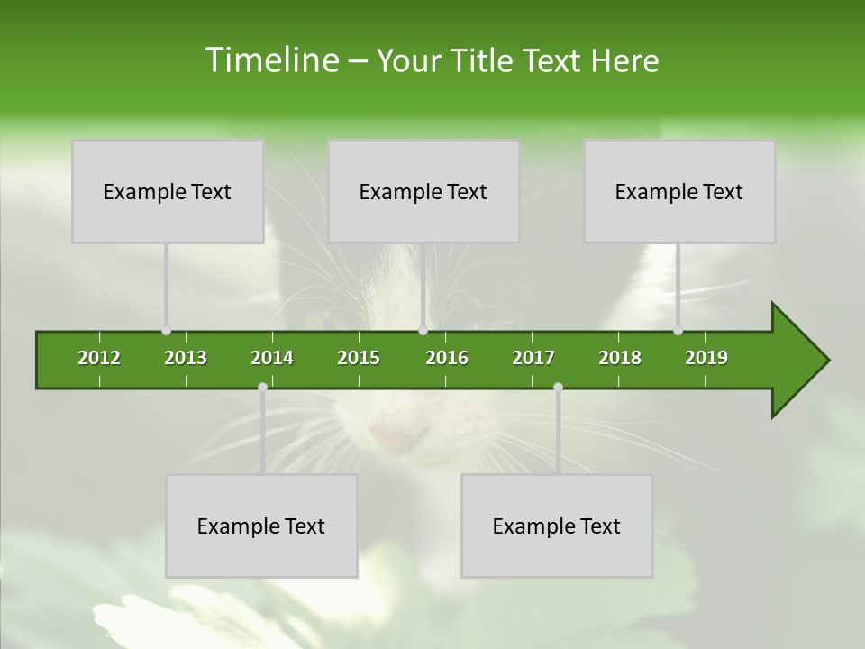 Humorou Li Ten Human PowerPoint Template