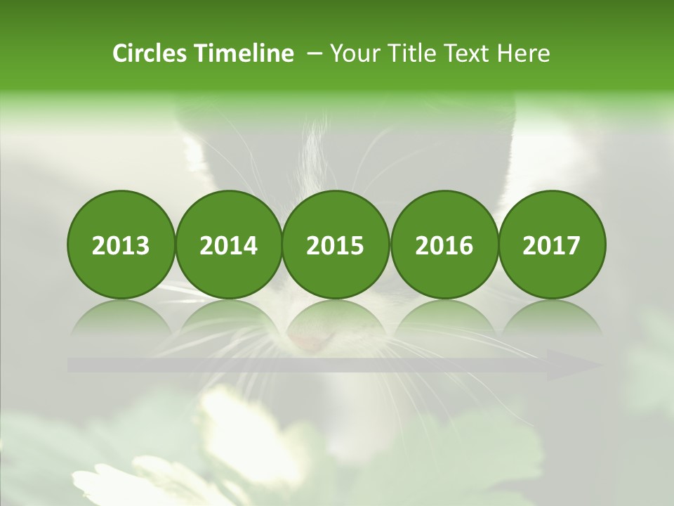 Humorou Li Ten Human PowerPoint Template