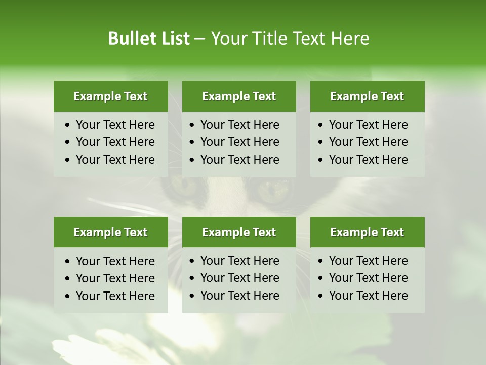 Humorou Li Ten Human PowerPoint Template