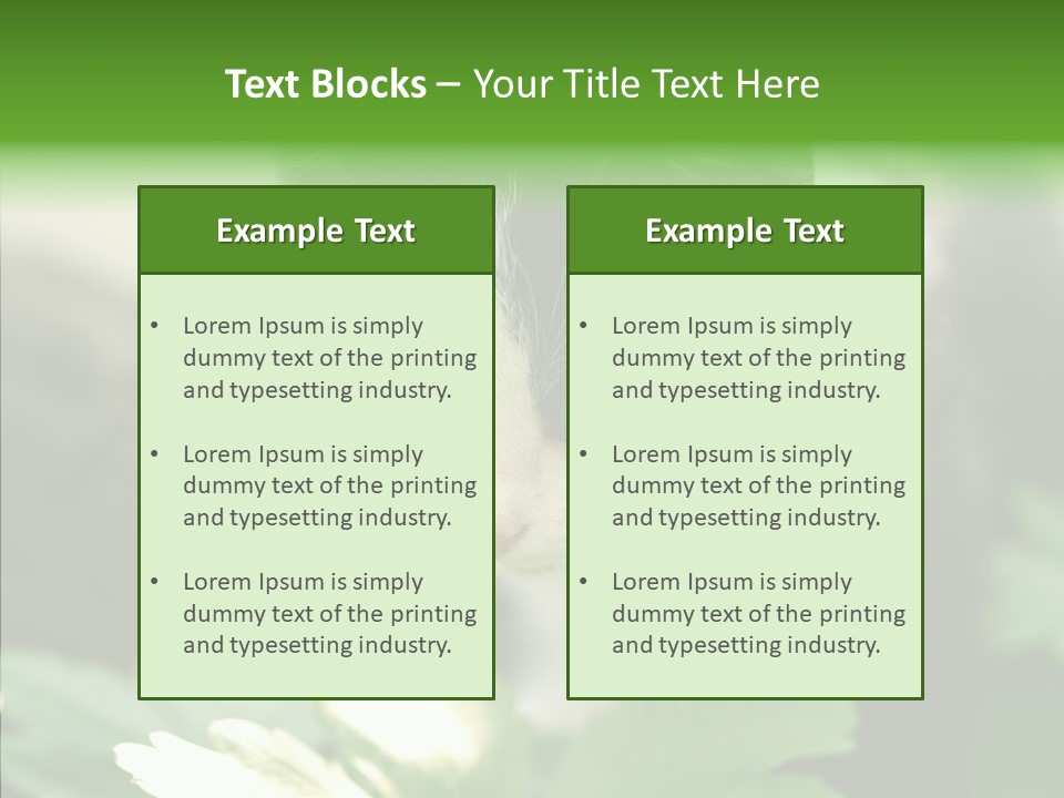 Humorou Li Ten Human PowerPoint Template
