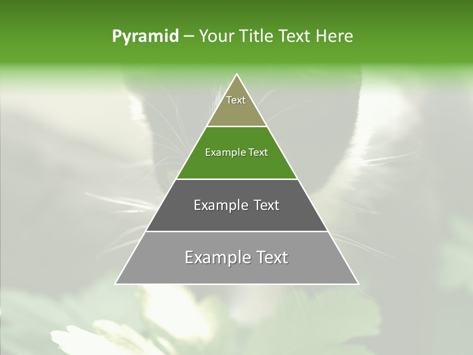 Humorou Li Ten Human PowerPoint Template