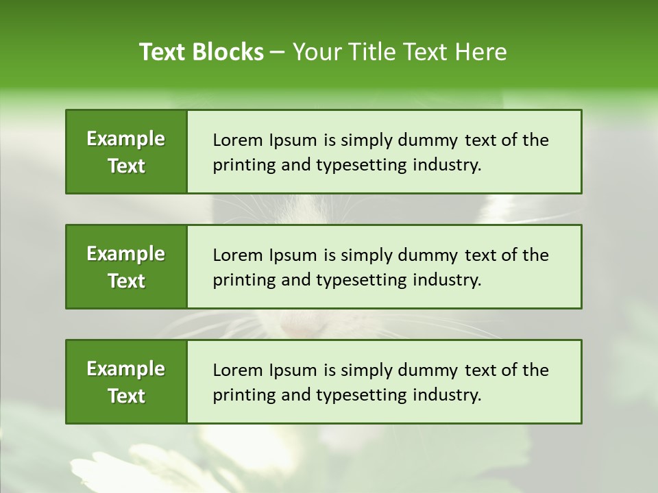 Humorou Li Ten Human PowerPoint Template